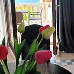 Olivista Croatia Apartman Njivice