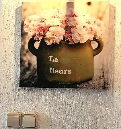 Olivista Croatia Njivice