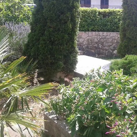 Olivista Croatia Njivice